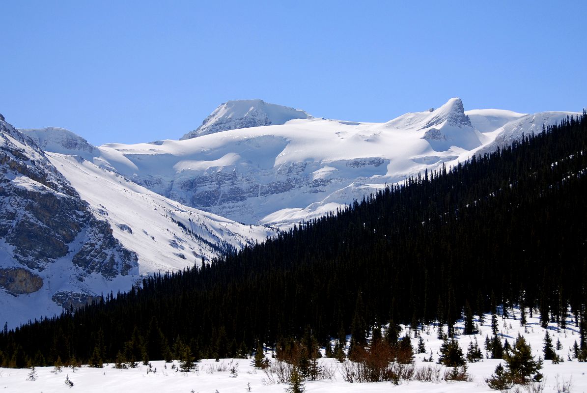 51 Mount Olive Saint Nicholas Peak, Wapta Icefield From Just After Num-Ti-Jah Lodge On Icefields Parkway